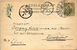 1905 Szepesbéla, Spisská Belá (Szepes, Zips); Fő tér, Gyógyszertár, üzletek. Feitzinger Ede 560. 190...