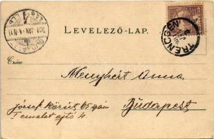 1901 Trencsén, Trencín; vár és vasúti híd. F. Richter Kunstanstalt / castle and railway bridge (kopo...