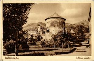 Szilágysomlyó, Simleu Silvaniei; Báthori vár és várkert. Heimlich Sándor kiadása / castle garden