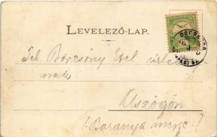 1902 Zólyom, Zvolen; vár. Özv. Löwy Sámuelné kiadása / castle (EK)