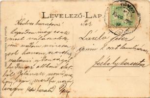 1907 Hernádzsadány, Zsadány, Zdana; Kir. járásbíróság. Nyulászi Béla kiadása / county court (fl)