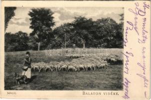 Balaton Vidéke, juhnyáj. D.K.F.E. 899. (EK)