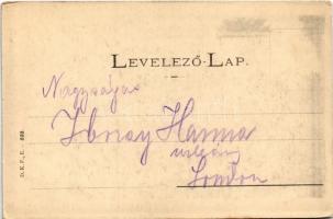 Balaton Vidéke, juhnyáj. D.K.F.E. 899. (EK)