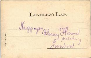 Balaton Vidéke, hazatérők a mezőről ökörszekérrel. D.K.F.E. 908. (EK)