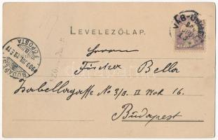 1900 Vágújhely, Waag-Neustadt, Nové Mesto nad Váhom; Vásár, piac, Takarékpénztári udvar, Salvéndy J....