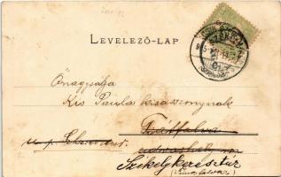 1905 Zsögödfürdő, Jigodin Bai; fürdő. Gyönös Gyula kiadása / spa