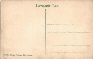 Késmárk, Kezmarok; Vár utca, Tököly féle vár, katolikus templom. Feitzinger Ede No. 908. / street wi...