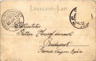 1902 Pöstyén, Pistyán, Piestany; Ferenc József út, Strasser kávéház, üzletek / street, cafe, shops (...