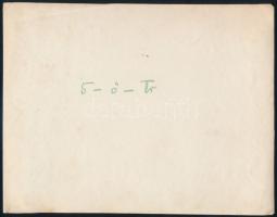 cca 1914-1918 Az Osztrák-Magyar Császári és Királyi Haditengerészet (K.u.K. Kriegsmarine) Huszár-osz...