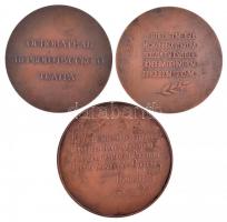 Szovjetunió ~1960-1970. 3 db bronzozott Al plakett, közte "Fjodor Grigorjevics Volkov 1728-1763...