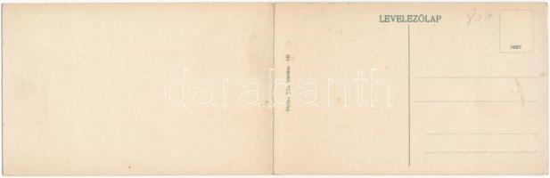 Nagyenyed, Aiud; Bethlen Kollégium. Két részes kihajtható panorámalap, Földes Ede kiadása 150. / boa...