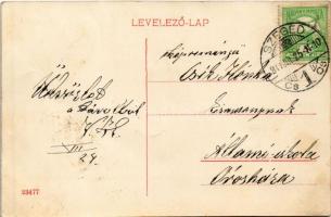 1911 Szeged, Vasúti híd, gőzmozdony, faúsztatás