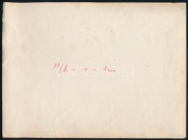 cca 1914-1918 Bogumil Nowotny (1872-1960) korvettkapitány, az Osztrák-Magyar Császári és Királyi Had...