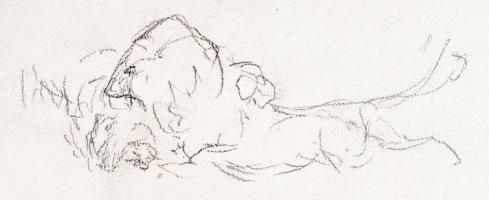 Vastagh Géza (1866-1919) festőművész vázlatfüzete, összesen 7 db rajzzal. Ebből 4 db oroszlánokat áb...