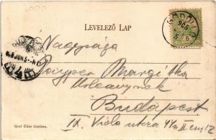 1905 Gödöllő, Alvégi villák. Graf Éliás kiadása