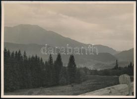 cca 1910 Tömös-völgy, háttérben a Nagykőhavas, Erdélyi Mór felvétele, hátulján feliratozva, 11,5×16 cm / Piatra Mare, Pasul Timis, photo of Mór Erdélyi, with notes on its back