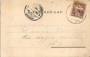 Segesvár, Schässburg, Sighisoara; Piactér, Girscht üzlete. Fritz Teutsch kiadása / market square, sh...