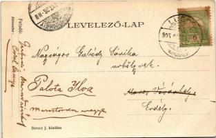 1905 Lugos, Lugoj; Gimnázium és színház. Berecz J. kiadása / school and theatre