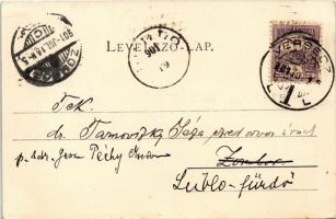 1901 Versec, Werschetz, Vrsac; látkép. W. Wettl No. 44. / general view (EK)