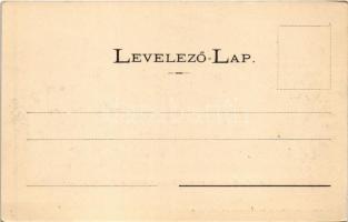 Boldogkőváralja, Bodókő (Boldogkő) vára, Martinuzzi Fráter György egyköri tulajdona. Kiadja Lövy A.,...