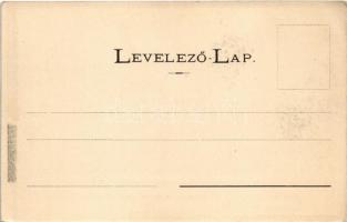 Füzér, Gróf Károlyi László birtokán fekvő füzéri (Abaúj m.) várromok. Löwy Adolf kiadása, W. Eperjes...