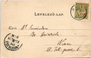 1901 Szob, Római katolikus templom, Loujza leány intézet. Hegedűs Lajos kiadása (EB)