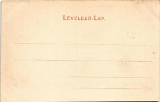 Kovácspatak, Kovacov; Otthon villa. Wallfisch S. kiadása / villa