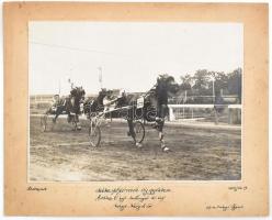 1932 Budapet, lóverseny, a székesfehérvári díj győztese Erika, hajtó: Zwillinger, kartonra kasírozott fotó, feliratozva, 17×23 cm