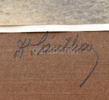 1927 Szlovéniai tájképek, városképek, 8 db (Capodistria/Koper, Pirano/Piran, stb.), kartonra ragaszt...