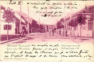 1901 Versec, Werschetz, Vrsac; Városliget utca B., posta és távirda. Wilhelm Wettl kiadása / street, post and telegraph office