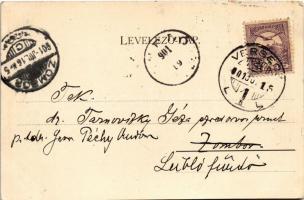 1901 Versec, Werschetz, Vrsac; Városliget utca B., posta és távirda. Wilhelm Wettl kiadása / street,...