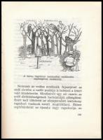 Borhidi Attila: Az erdő élete. Búvár Könyvek 19. Bp., 1961., Móra. Kiadói kissé kopott félvászon-köt...
