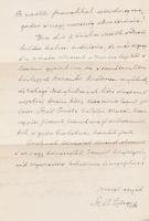 1886 Szél György (1834-1891) bárándi lelkész autográf levele fiának, Szél Kálmán nagyszalontai esper...