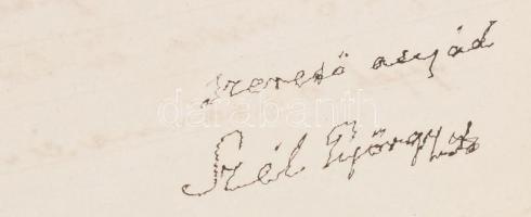 1886 Szél György (1834-1891) bárándi lelkész autográf levele fiának, Szél Kálmán nagyszalontai esper...