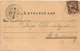 1900 Miskolc, Hámori tó. Gedeon A. kiadása (fa)