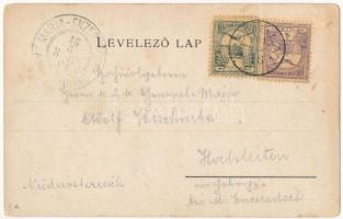 1901 Temes vármegye térképe. Kiadja Károlyi Gy. / Map of Timis county (EK)