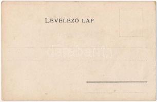 Csík vármegye térképe. Kiadja Károlyi Gy. / Map of Ciuc county (fl)