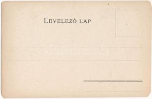 Beszterce-Naszód vármegye térképe. Kiadja Károlyi Gy. / Map of Bistrita-Nasaud county (EM)