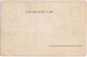 Maros-Torda vármegye térképe. Kiadja Károlyi Gy. / Map of Mures-Turda county (EB)