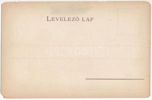 Arad vármegye térképe. Kiadja Károlyi Gy. / Map of Arad county (EM)