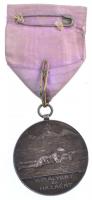 ~1910. "Ifjúsági Lövőverseny / Királyért és hazáért" fémjelzetlen Ag sportérem szalagon, &...