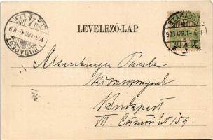 1903 Szabadka, Subotica; Szentháromság szobor, Battyání utca, Grünbaum Mór üzlet / Trinity statue, s...