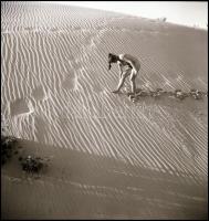 cca 1978 Vincze János (1922-1999) kecskeméti fotóművész hagyatékából 3 db vintage NEGATÍV, az akt fényképezés műfajából, 6x6 cm
