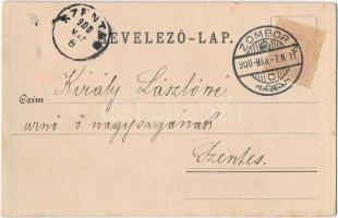 1900 Zombor, Sombor; Vármegye ház, Kossuth utca. Kiadja Schön Adolf, szecessziós fémes hatású fóliás...