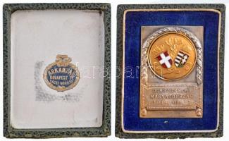 1934. "Olaszország - Magyarország 1934. VIII. 19." zománcbetétes, részben aranyozott, ezüs...