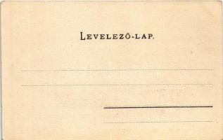 Budapest V. Új Egyetem, villamos. Ganz Antal 74. Erdélyi fényképész felvétele