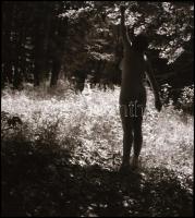 cca 1960 előtt készült, szolidan erotikus felvételek, 7 db vintage NEGATÍV, vegyes összeállítás, 24x...