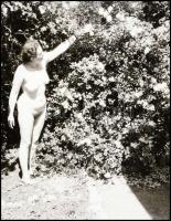 cca 1960 előtt készült, szolidan erotikus felvételek, 7 db vintage NEGATÍV, vegyes összeállítás, 24x...