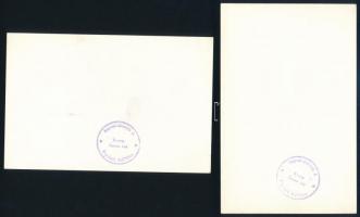 cca 1975 Soproni Horváth J. pecsétjével jelzett, 2 db vintage fotó akt festményekről, ezüstzselatino...