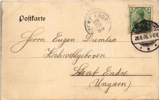1905 Geesthacht a.d. Elbe, Am Landungsplatz. J. H. Adolf Flügge Art Nouveau, floral (EK)